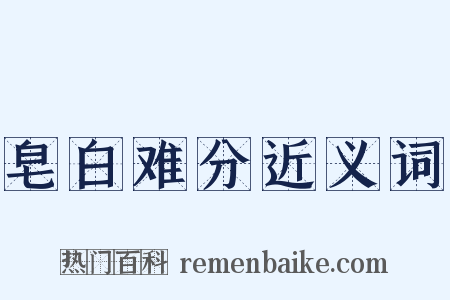 皂白难分近义词是什么意思的图片